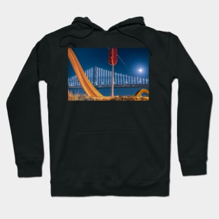 Moonrise Over Bridge Hoodie